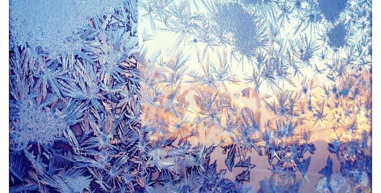 Frosty Window